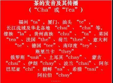 微信圖片_20200513171713.jpg