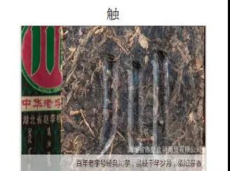 微信圖片_20200513171722.jpg